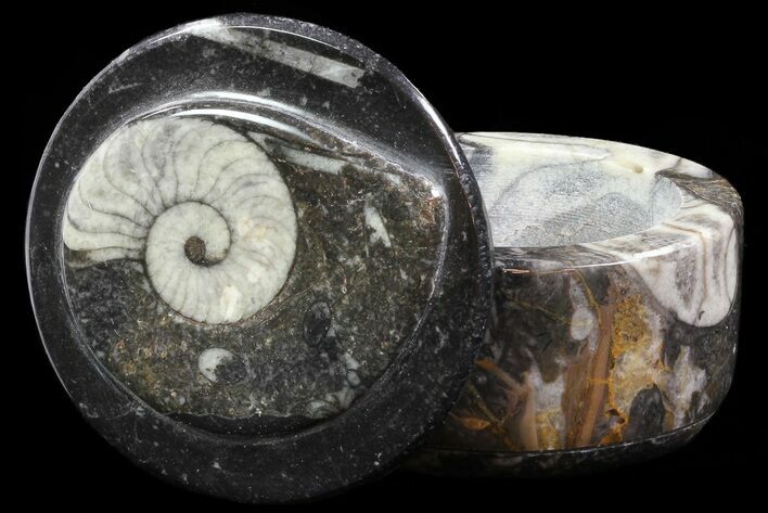Small Fossil Goniatite Jar (Black) - Stoneware #66601